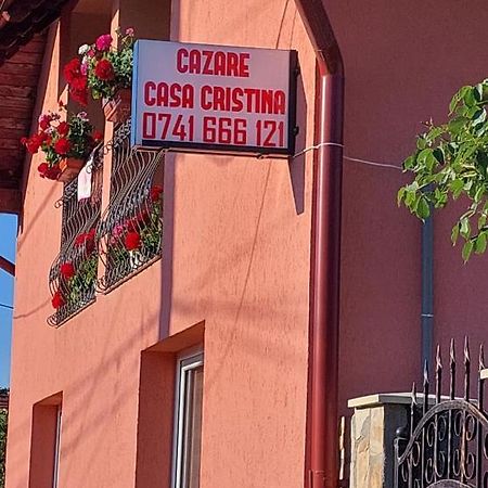 Casa Cristina Ξενοδοχείο Cîrţişoara Εξωτερικό φωτογραφία