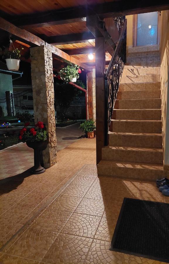 Casa Cristina Ξενοδοχείο Cîrţişoara Εξωτερικό φωτογραφία