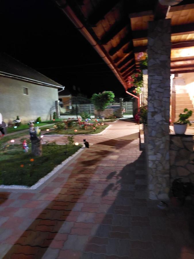 Casa Cristina Ξενοδοχείο Cîrţişoara Εξωτερικό φωτογραφία