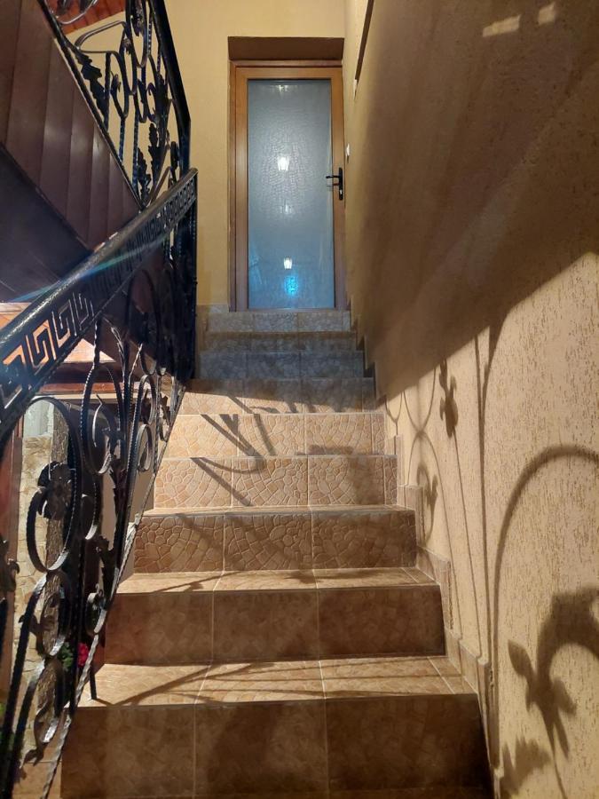 Casa Cristina Ξενοδοχείο Cîrţişoara Εξωτερικό φωτογραφία