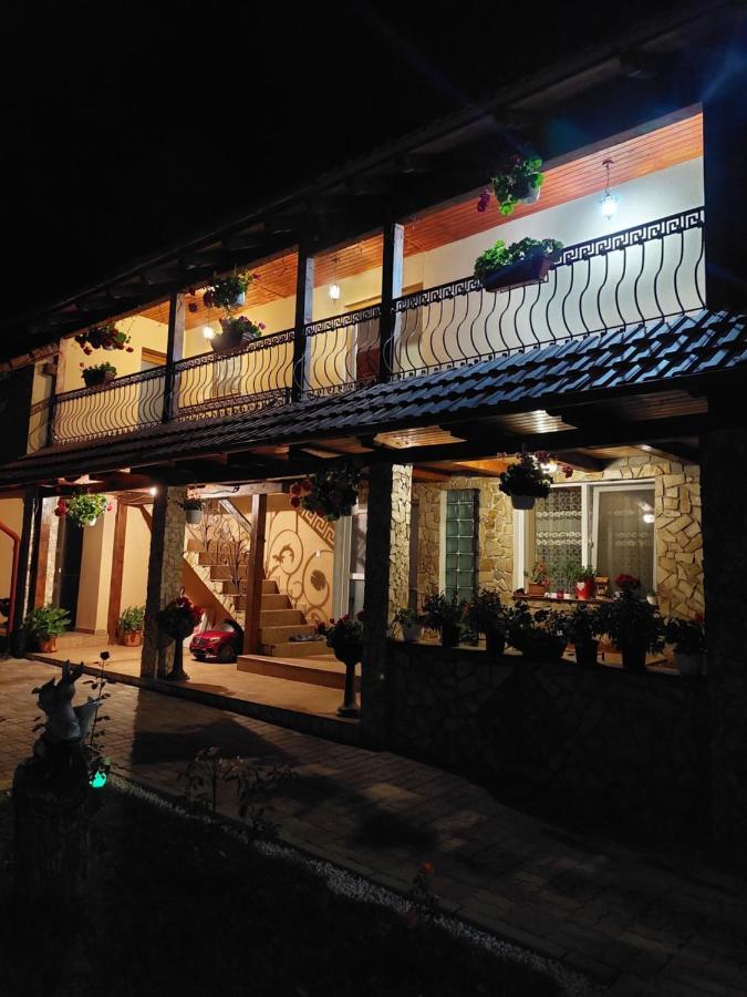 Casa Cristina Ξενοδοχείο Cîrţişoara Εξωτερικό φωτογραφία