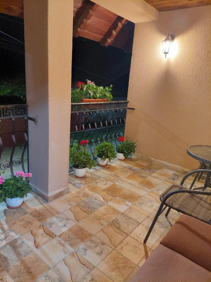 Casa Cristina Ξενοδοχείο Cîrţişoara Εξωτερικό φωτογραφία