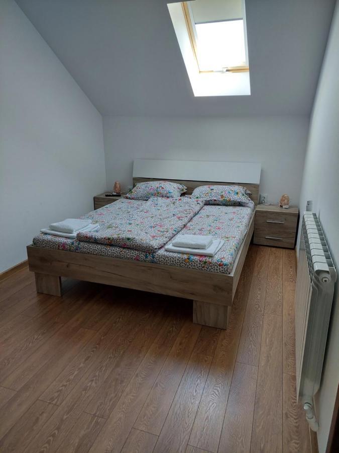 Casa Cristina Ξενοδοχείο Cîrţişoara Εξωτερικό φωτογραφία