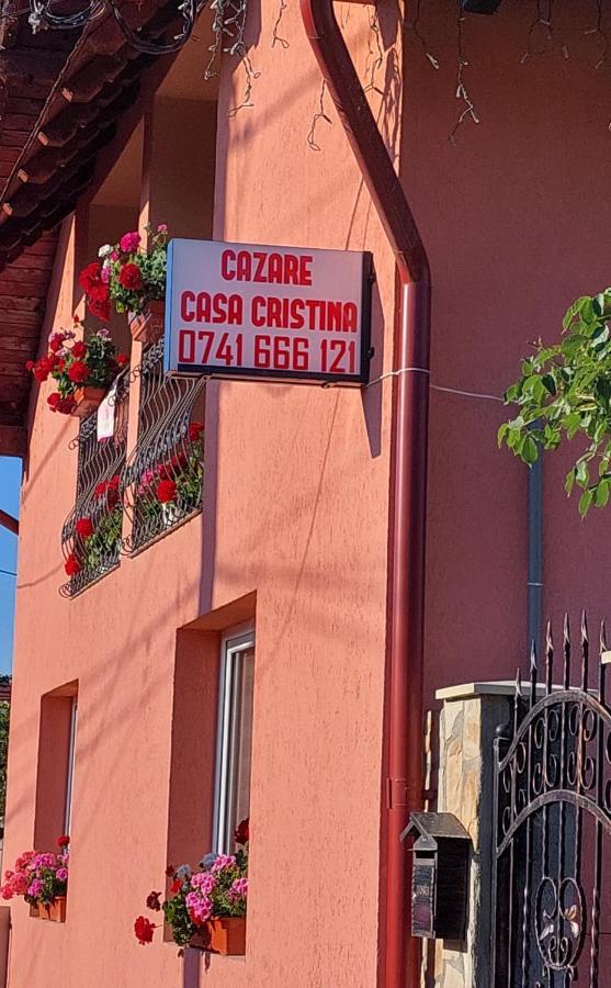 Casa Cristina Ξενοδοχείο Cîrţişoara Εξωτερικό φωτογραφία