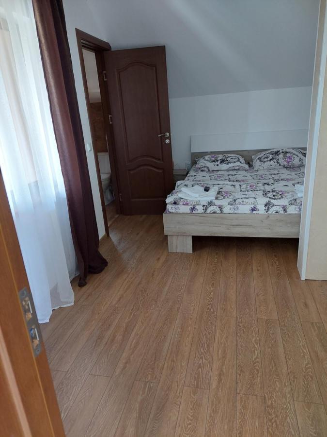 Casa Cristina Ξενοδοχείο Cîrţişoara Εξωτερικό φωτογραφία