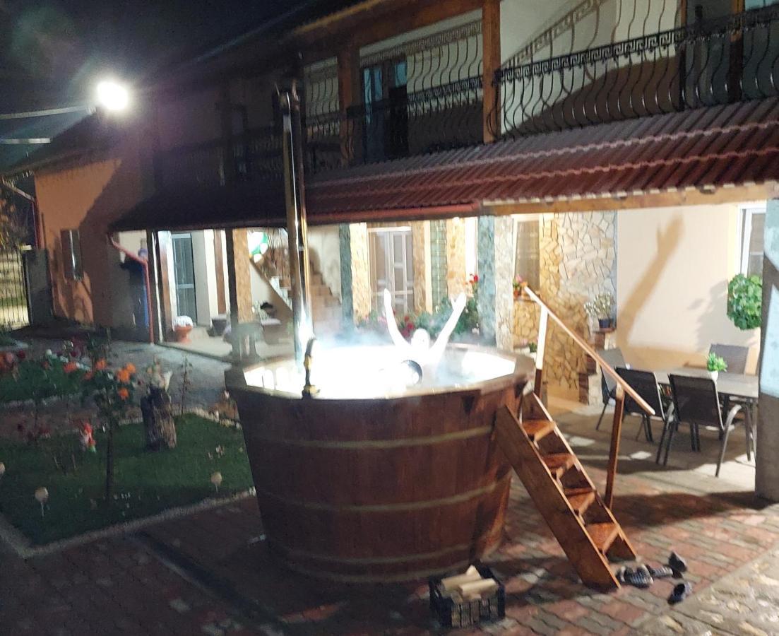 Casa Cristina Ξενοδοχείο Cîrţişoara Εξωτερικό φωτογραφία