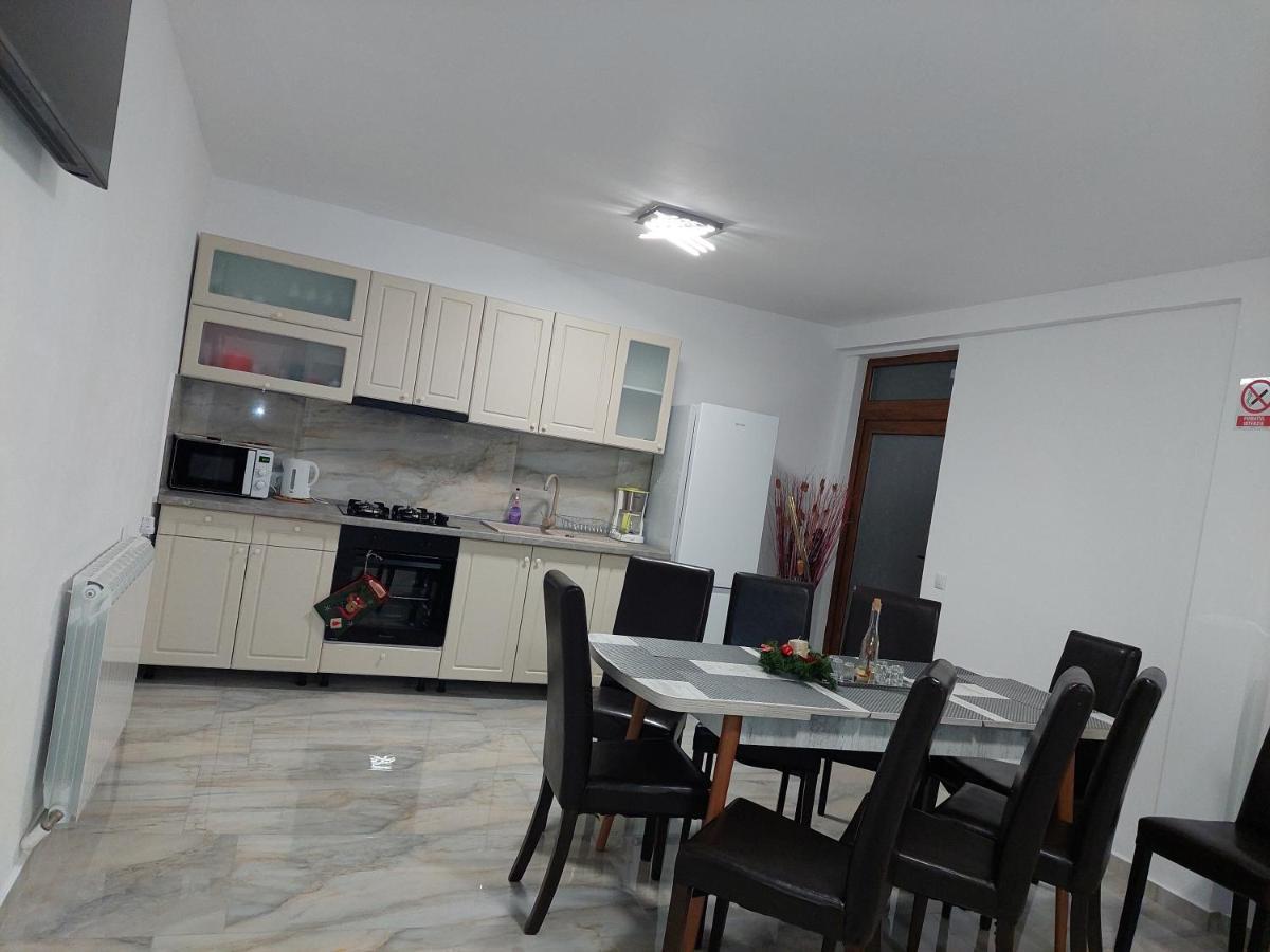 Casa Cristina Ξενοδοχείο Cîrţişoara Εξωτερικό φωτογραφία