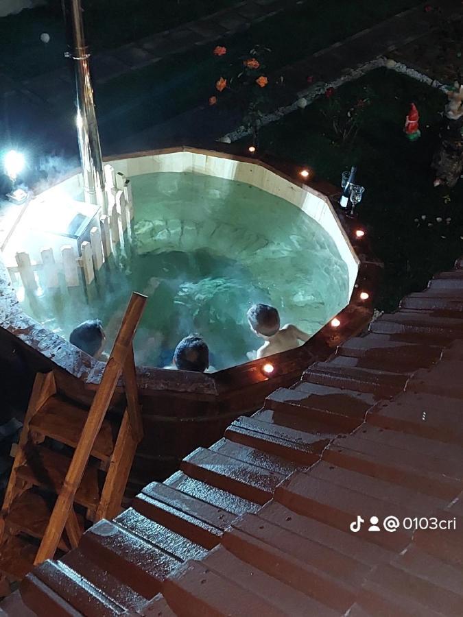 Casa Cristina Ξενοδοχείο Cîrţişoara Εξωτερικό φωτογραφία