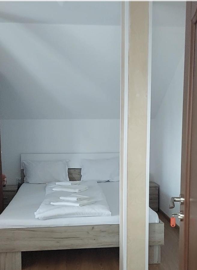 Casa Cristina Ξενοδοχείο Cîrţişoara Εξωτερικό φωτογραφία