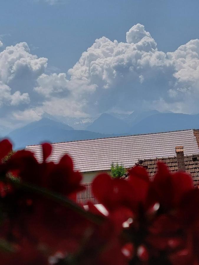 Casa Cristina Ξενοδοχείο Cîrţişoara Εξωτερικό φωτογραφία