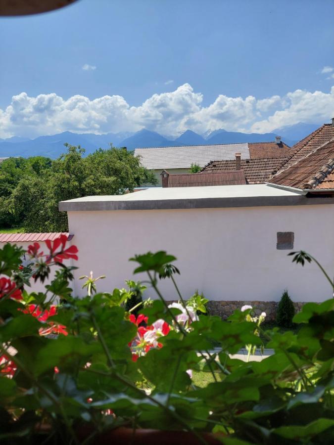 Casa Cristina Ξενοδοχείο Cîrţişoara Εξωτερικό φωτογραφία