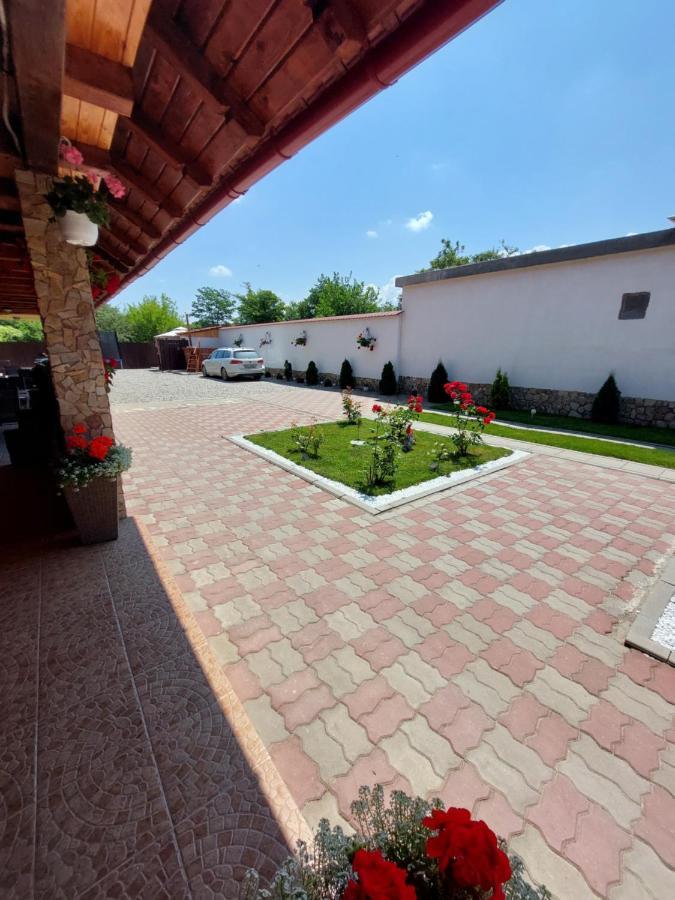 Casa Cristina Ξενοδοχείο Cîrţişoara Εξωτερικό φωτογραφία