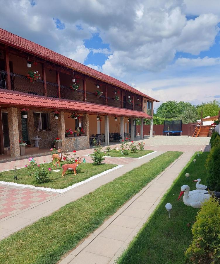 Casa Cristina Ξενοδοχείο Cîrţişoara Εξωτερικό φωτογραφία