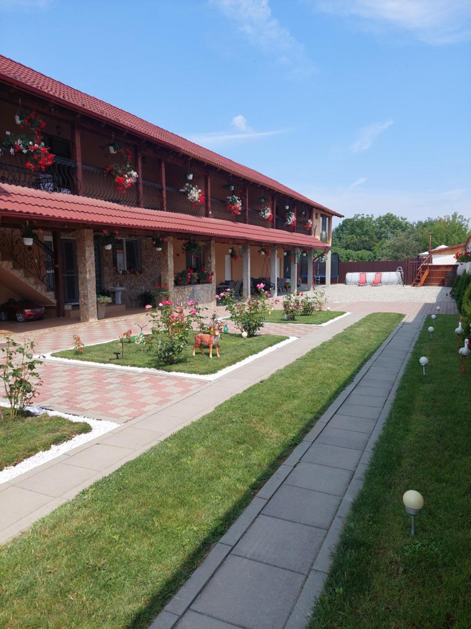 Casa Cristina Ξενοδοχείο Cîrţişoara Εξωτερικό φωτογραφία