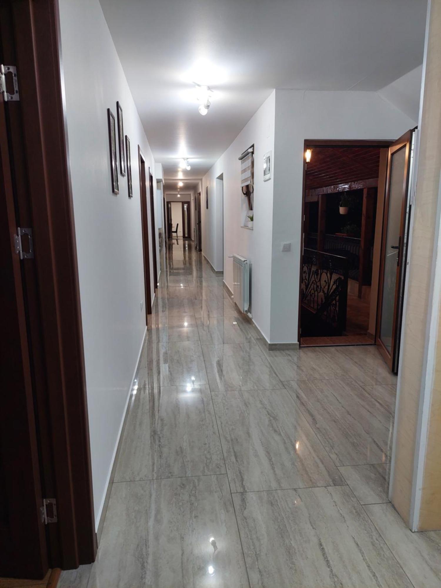 Casa Cristina Ξενοδοχείο Cîrţişoara Εξωτερικό φωτογραφία
